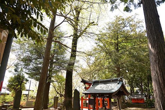 Oyaba Hikawa Shrine