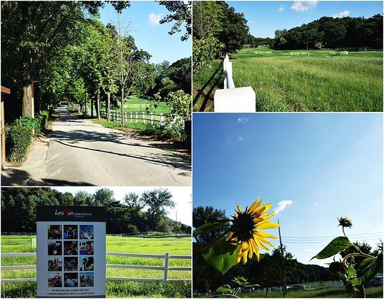 Wondang Jongma Mokjang