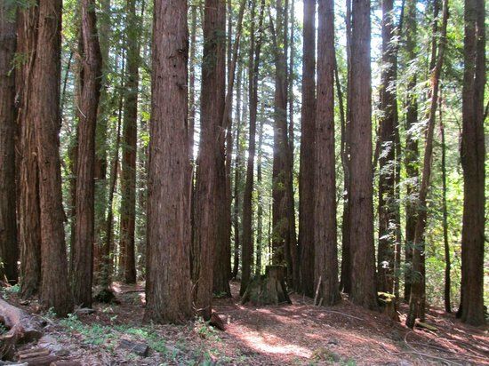 Wunderlich County Park