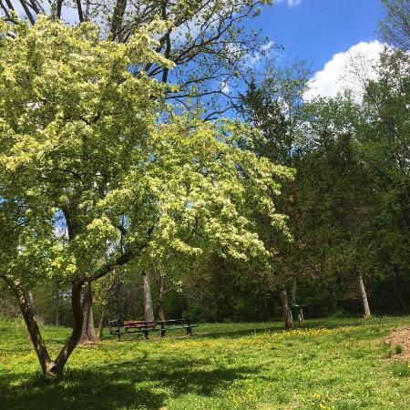 Hidden Pond Nature Center