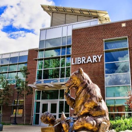 Rifle Branch Library