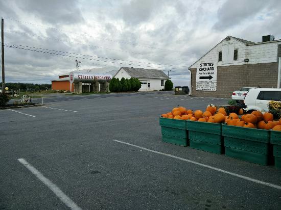Strites Orchard Farm Market and Bakery