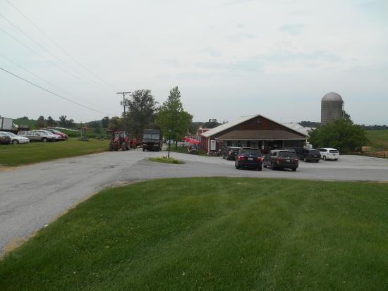Perrydell Farm Dairy