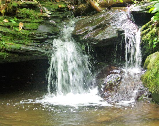 Horsetrough Falls