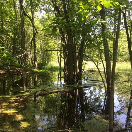 Ephraim Preserve at Anderson Pond