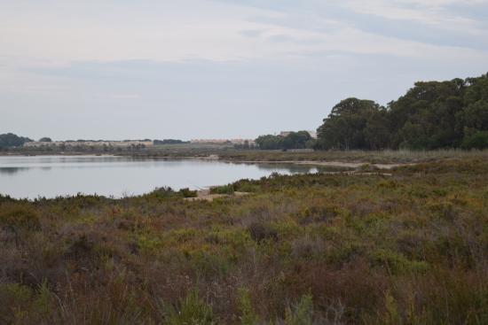 Parque natural de las Lagunas de La Mata y Torrevieja