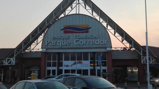Mirlo Corredor