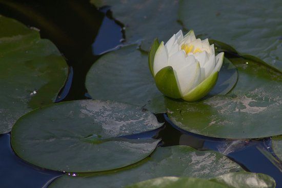 Naherholungsgebiet Busenwiesen