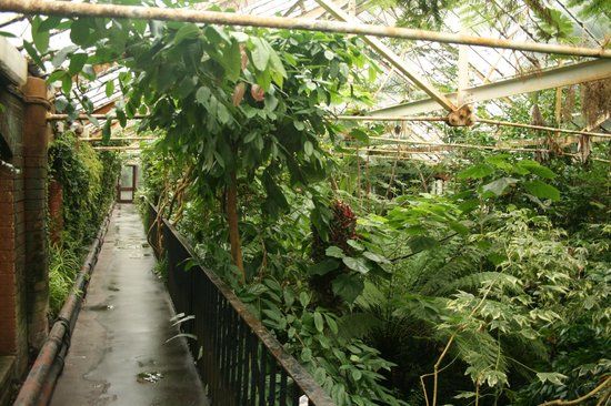 The Tropical Ravine House