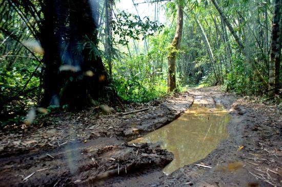 Thung Yai Naresuan Wildlife Sanctuary