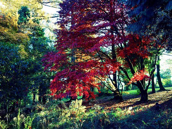 Parc Cefn Onn