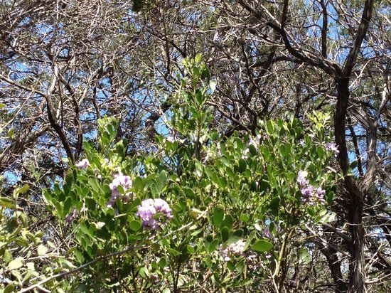 Friedrich Wilderness Park