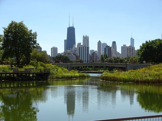Jardim Zoológico de Lincoln Park