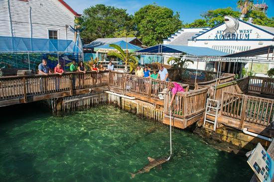 Acuario de Key West