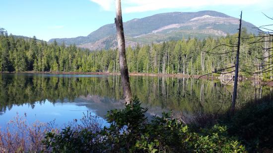Skookumchuck Narrows Provincial Park