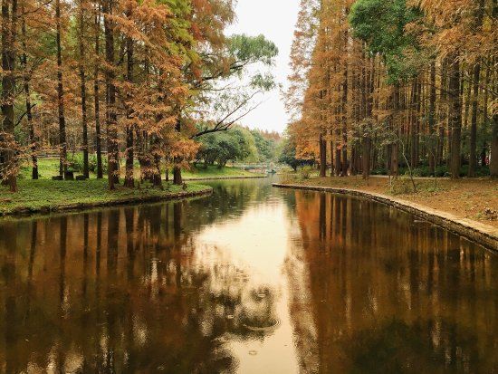 Gongqing Forest Park