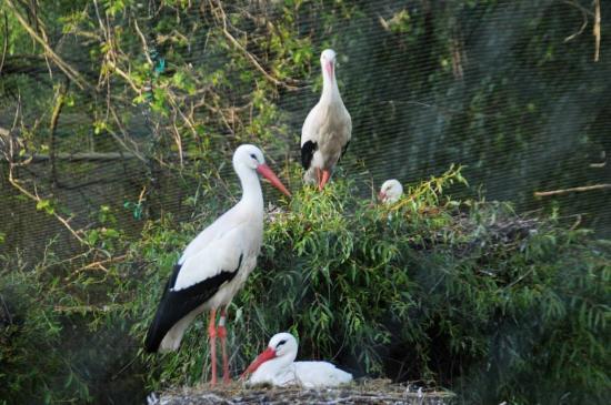 Freizeitpark Cigoland