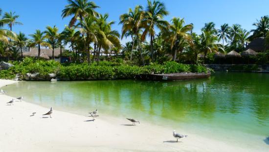Parque Ecológico de Akumal