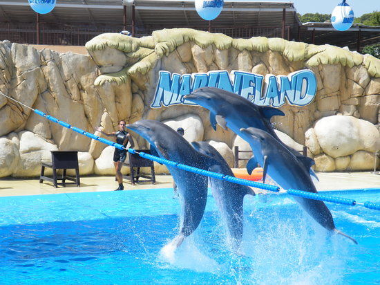 Marineland
