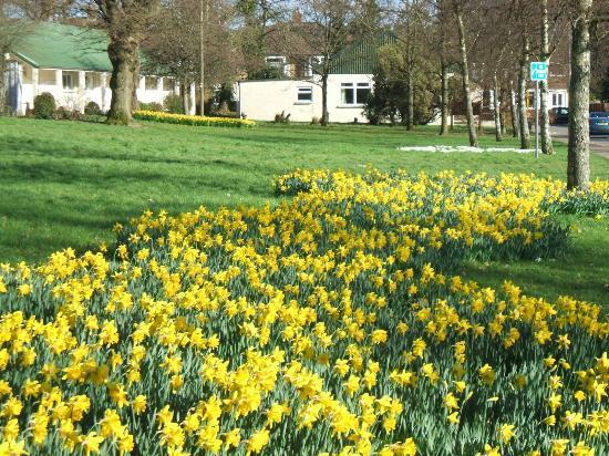 Heath Park