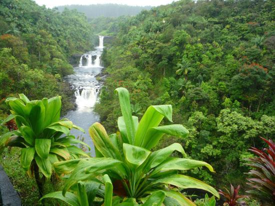 Umauma Falls