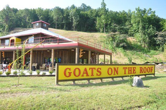 Goats on the Roof