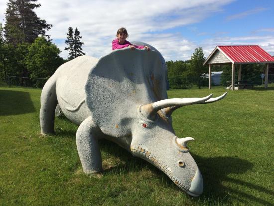 Jurassic Bart's Dinosaur Museum and Petting Farm