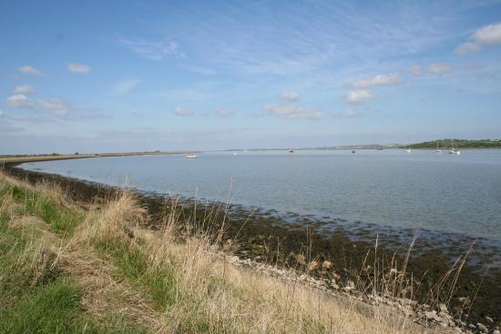 Oare Marshes Nature Reserve