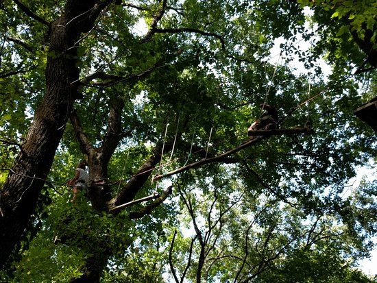 Arbor-et-sens