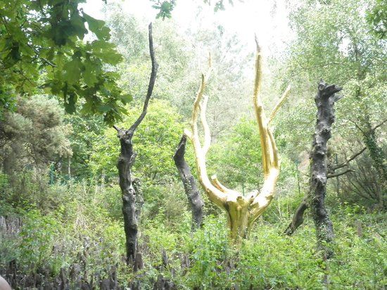 Brocéliande