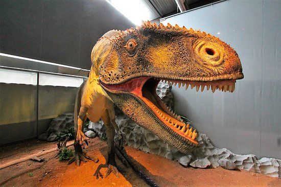 Dinosauria