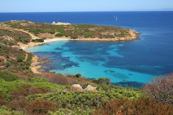 Parco Selvaggio dell'Asinara