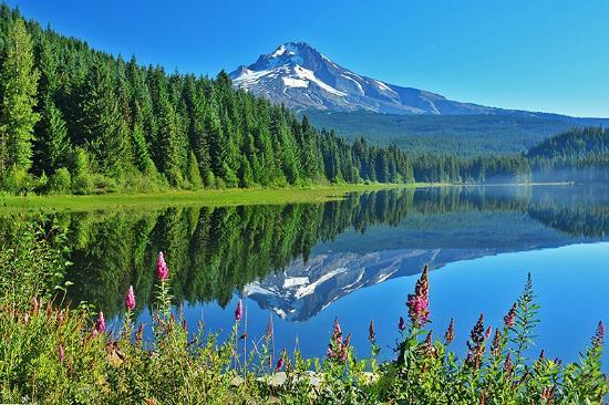 Trillium Lake