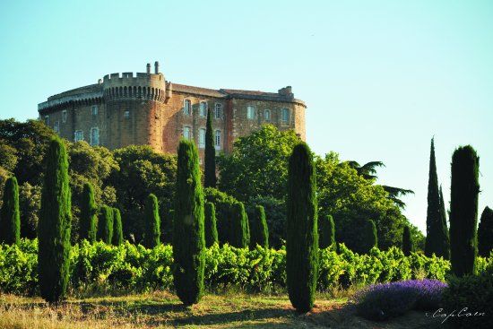 L'Université du Vin