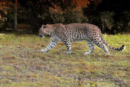 Parc Zoologique de la Barben