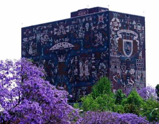 Jardines del Pedregal de San Angel