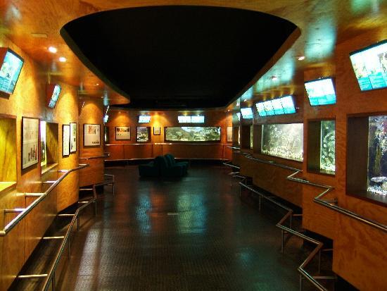 Estacao Litoral da Aguda Aquarium