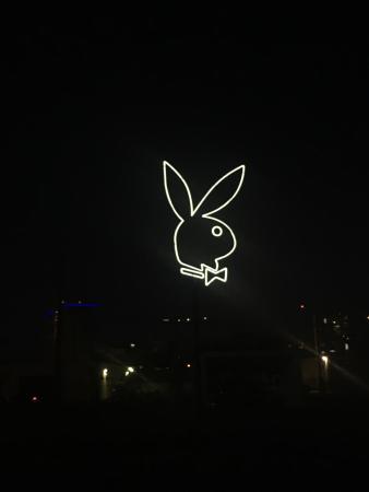 The Dallas Contemporary