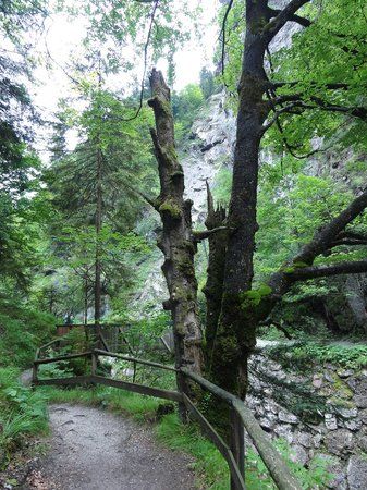 Bummelzug Wildschönau