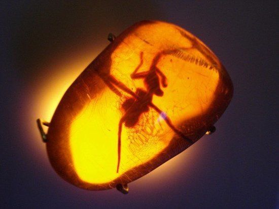 Museo del Ámbar Dominicano