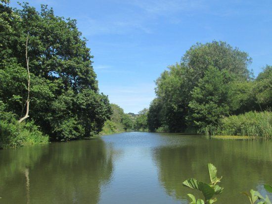 Royal Military Canal