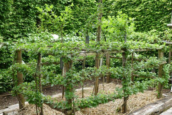 Prieuré Notre-Dame d'Orsan