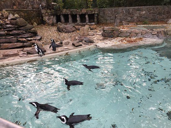 Tiergarten Straubing