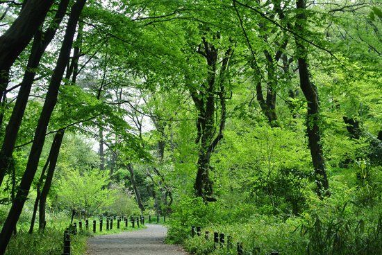 Institute for Nature Study