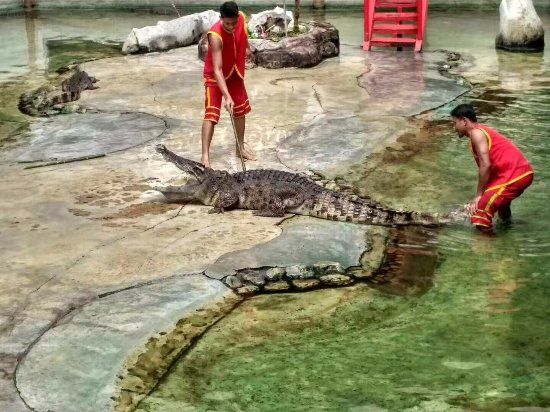Samutprakan Crocodile Farm and Zoo