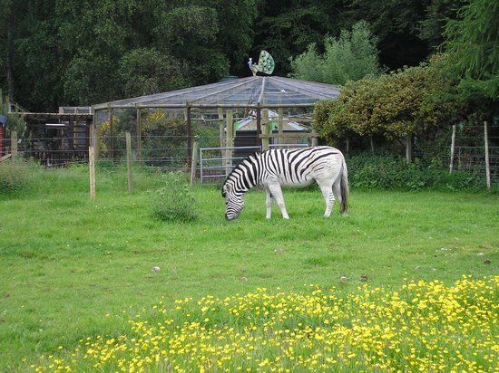 Black Isle Wildlife Park