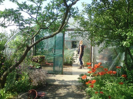 Poulton Wood Nature Reserve