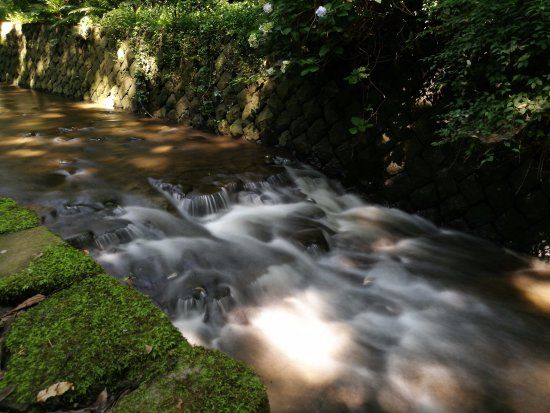 Todoroki Ravine Park