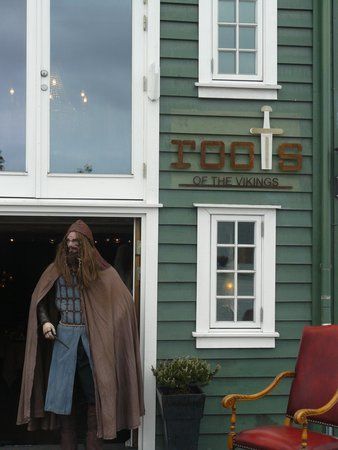 Roots of the Vikings