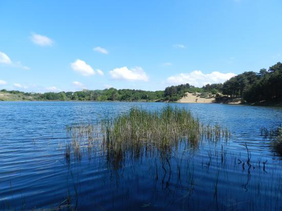 Kennemer Dunes National Park